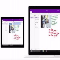      OneNote   10..  