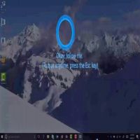 Follow Me       10
