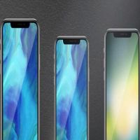        6,1    iphone XL