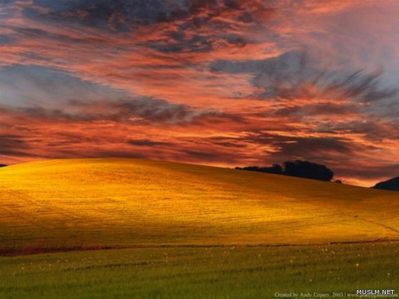 desktop 1087