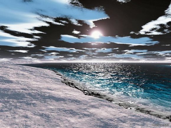 desktop 271