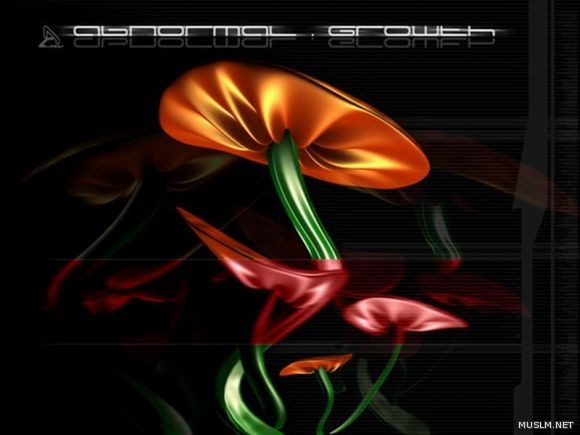 desktop 448