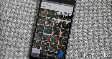  Google photo         