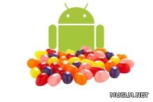      4.1 .. Jelly Bean